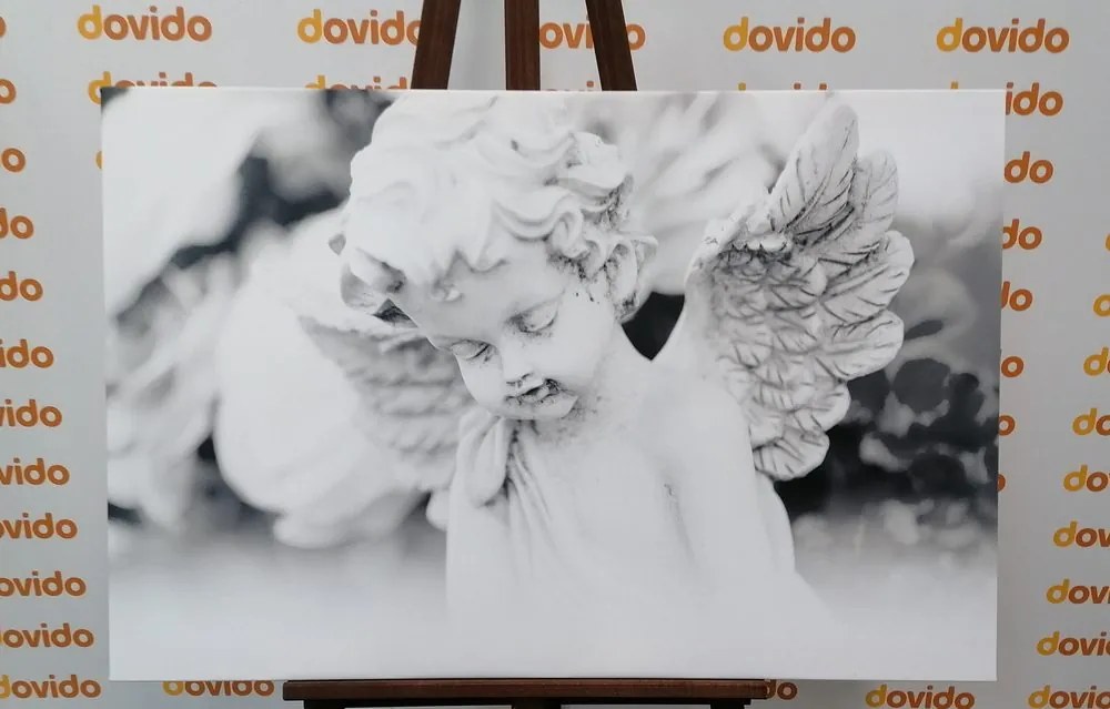 Quadro su tela – Angioletto