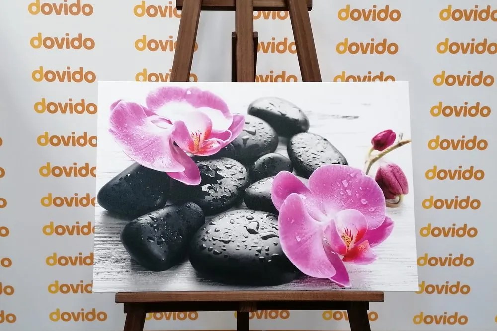 Stampa su tela – Bella armonia di pietre e orchidee