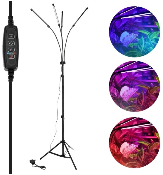 Brilagi-Lampada da terra dimmerabile a LED per la coltivazione di piante VITABLOOM 4xLED/7,5W/230V