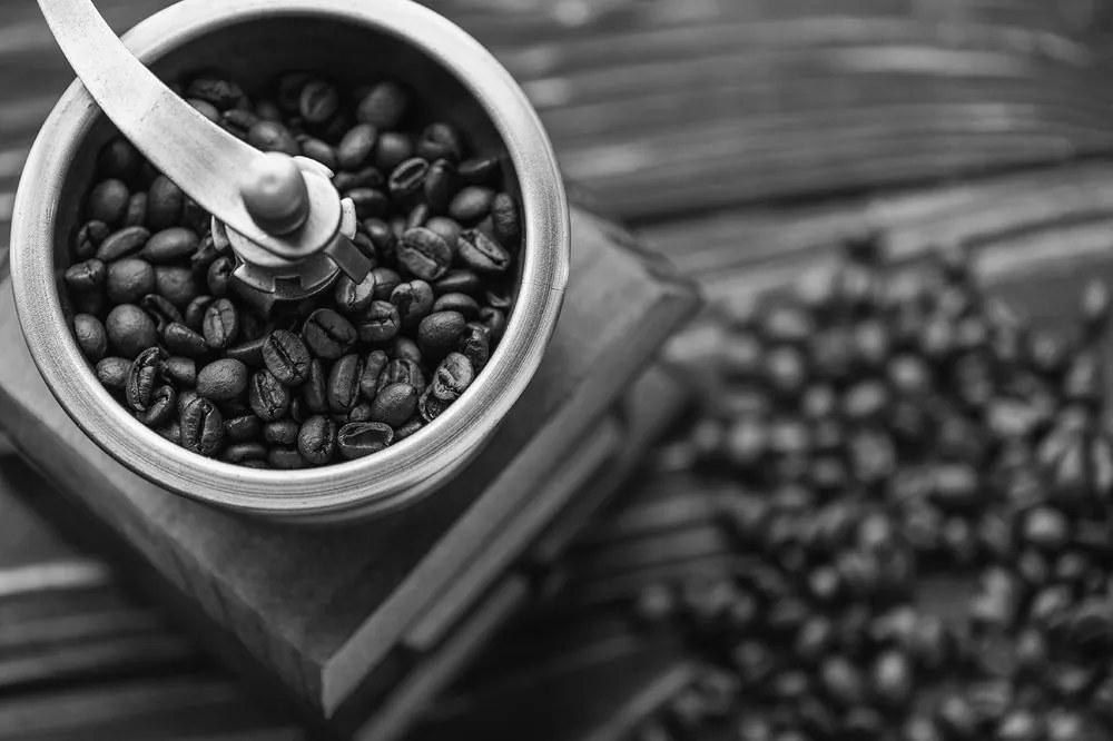 Carta da parati – Macinino da caffè vintage in bianco e nero