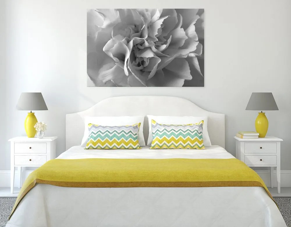 Stampa su tela – Petali di garofano in bianco e nero