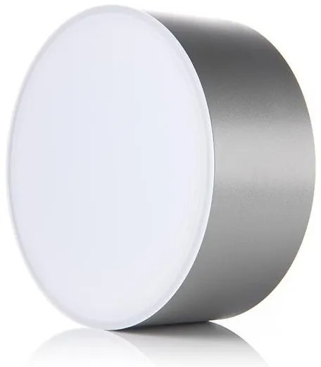LED2 - Plafoniera LED BUTTON LED/17W/230V argento