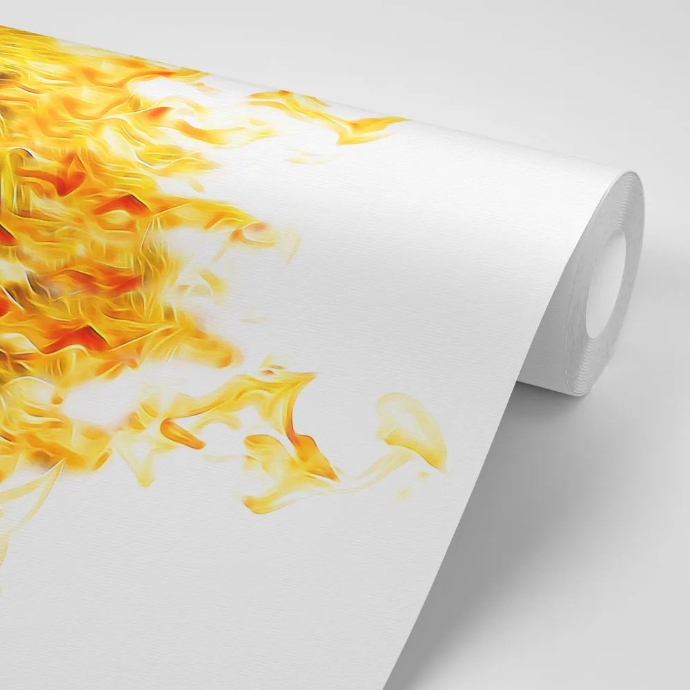 Carta da parati – Leone infuocato