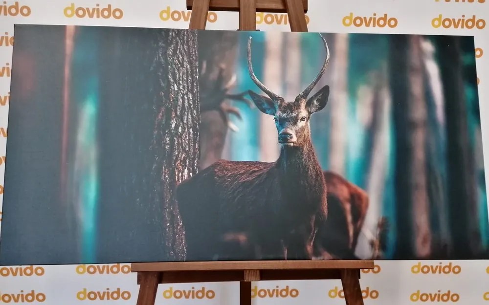 Quadro su tela – Cervo nel bosco