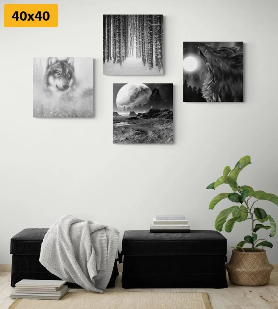 Set di quadri – Lupo misterioso in bianco e nero