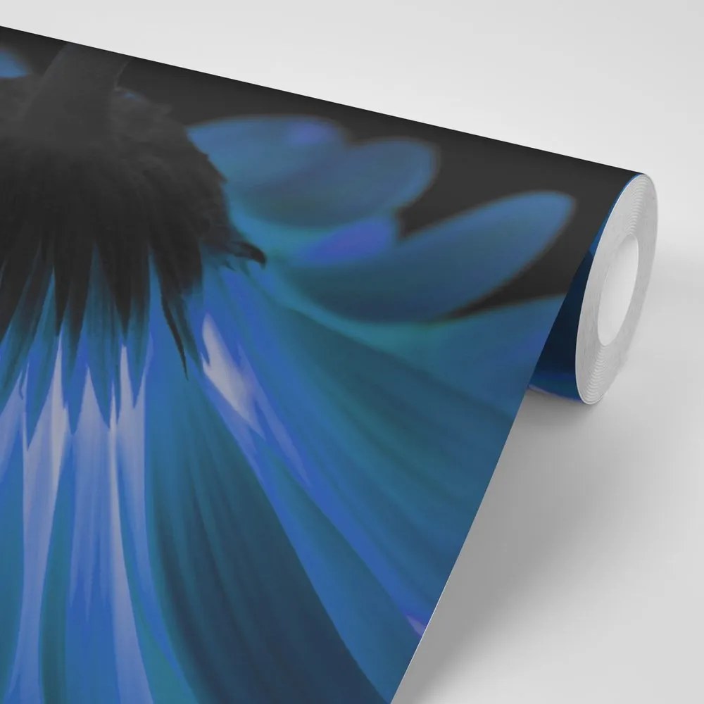 Carta da parati – Gerbera blu