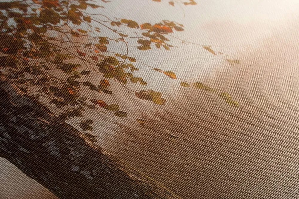 Quadro su tela – Foresta autunnale nebbiosa