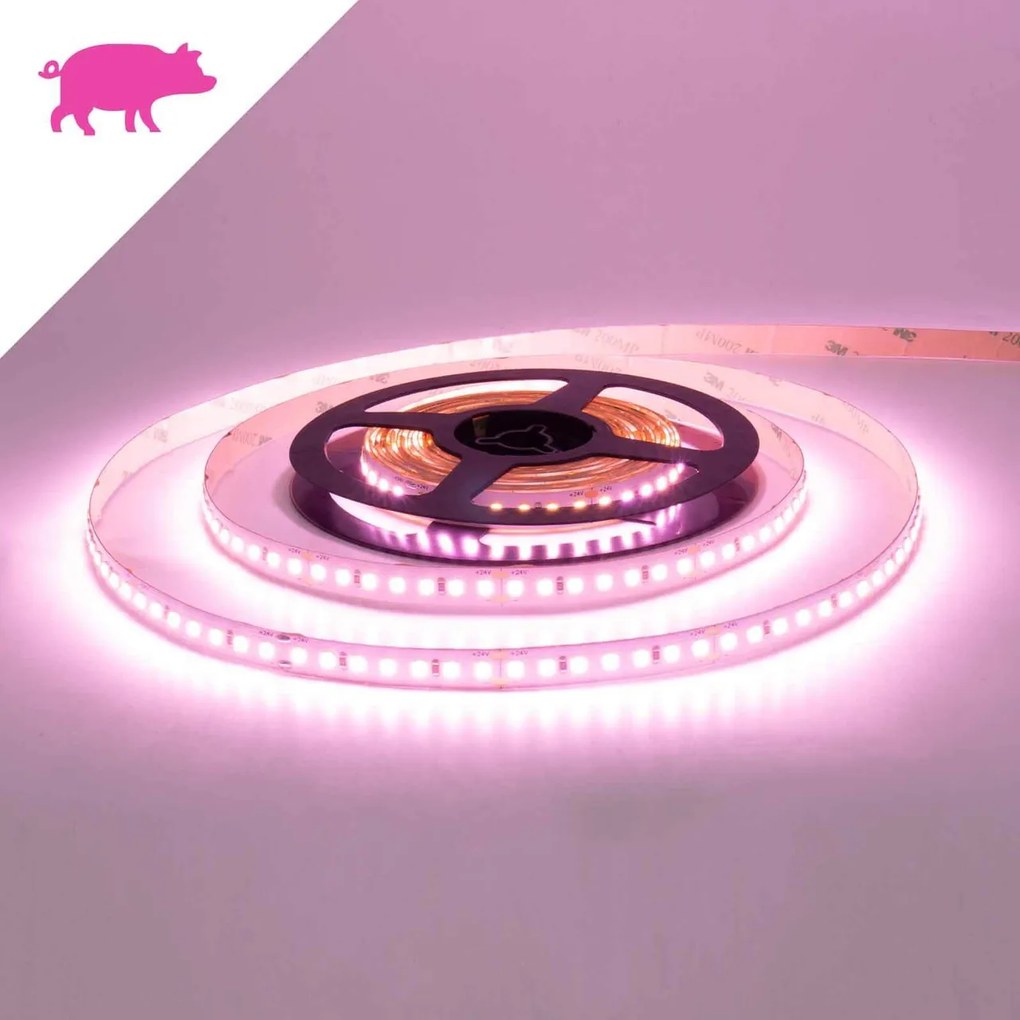 Striscia LED Professional per Banco Carni