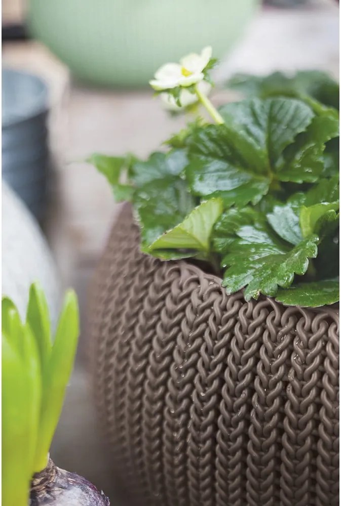 Vaso per fiori in plastica da appendere/parete ø 28 cm Cozy Harvest Brown – Keter