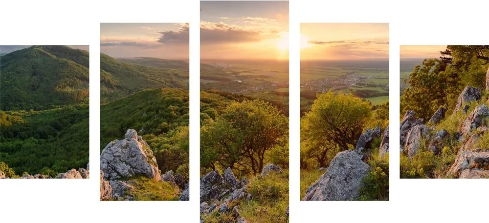 Quadri 5 pezzi – Natura baciata dal sole