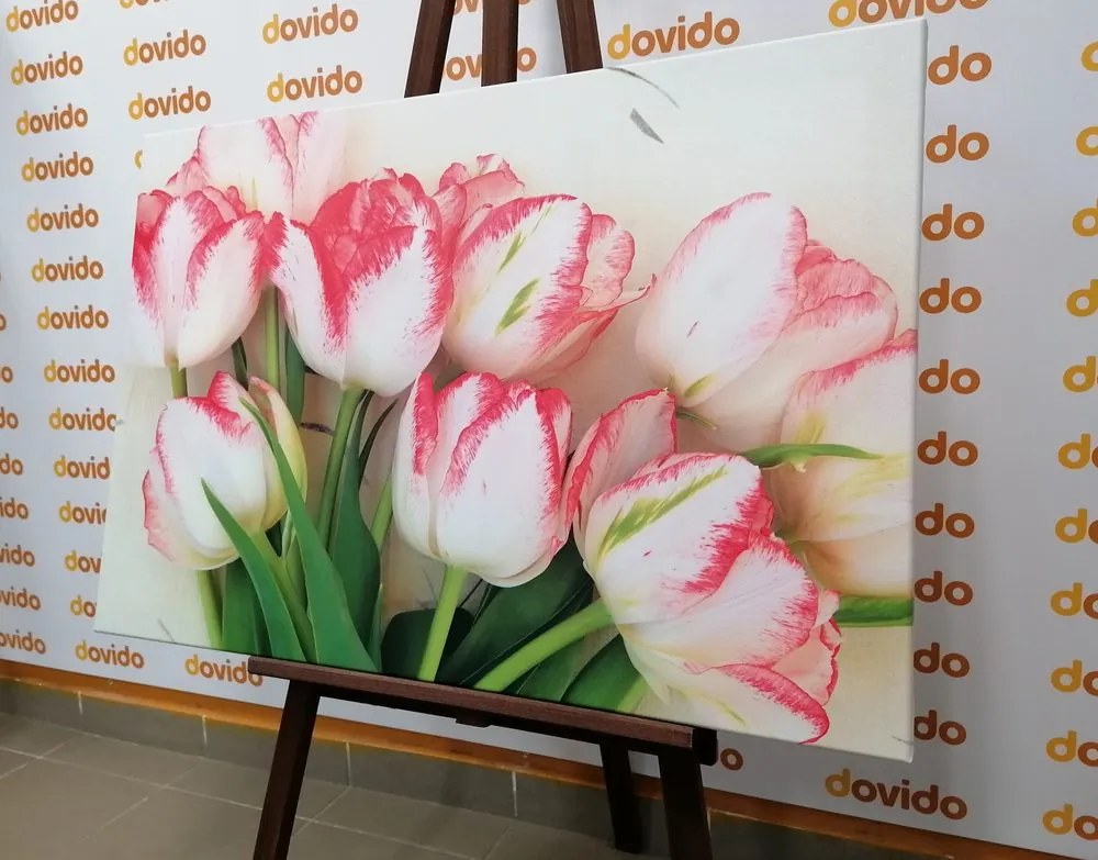 Stampa su tela – Tulipani primaverili