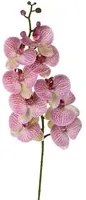 Set 2 Phalenopsis Artificiali con 9 Fiori Altezza 110 cm Viola