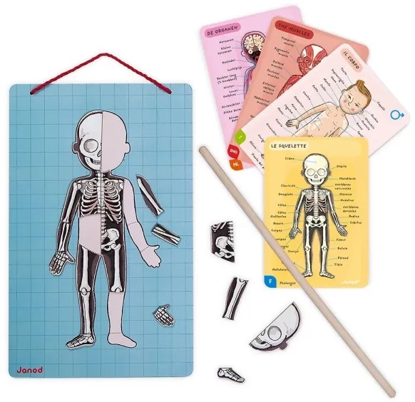 Janod - Puzzle magnetico BODYMAGNET corpo umano