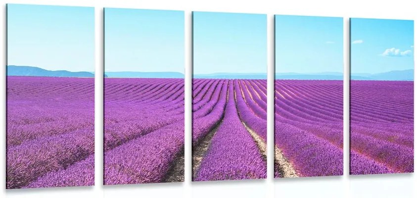 Quadri 5 pezzi – Campo di lavanda infinito
