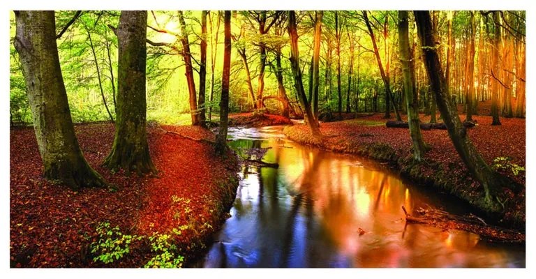 Stampa su tela Fiume nel bosco, multicolore 80 x 180 cm