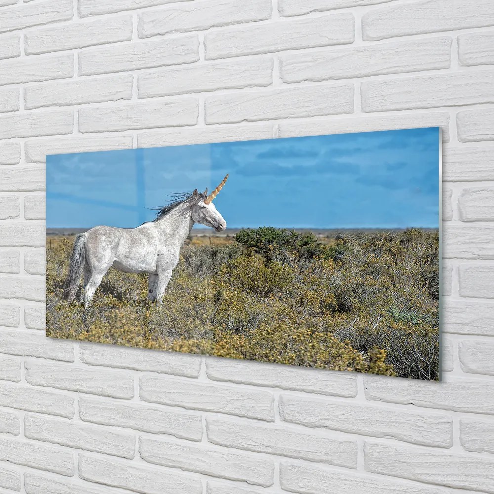 Quadro acrilico Campo unicorno 100x50 cm