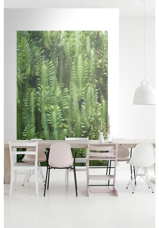 Fotomurale ESTA Jungle, Multicolor 186X280 cm