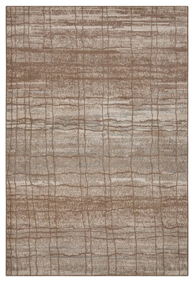 Tappeto marrone/beige 80x120 cm Terrain – Hanse Home