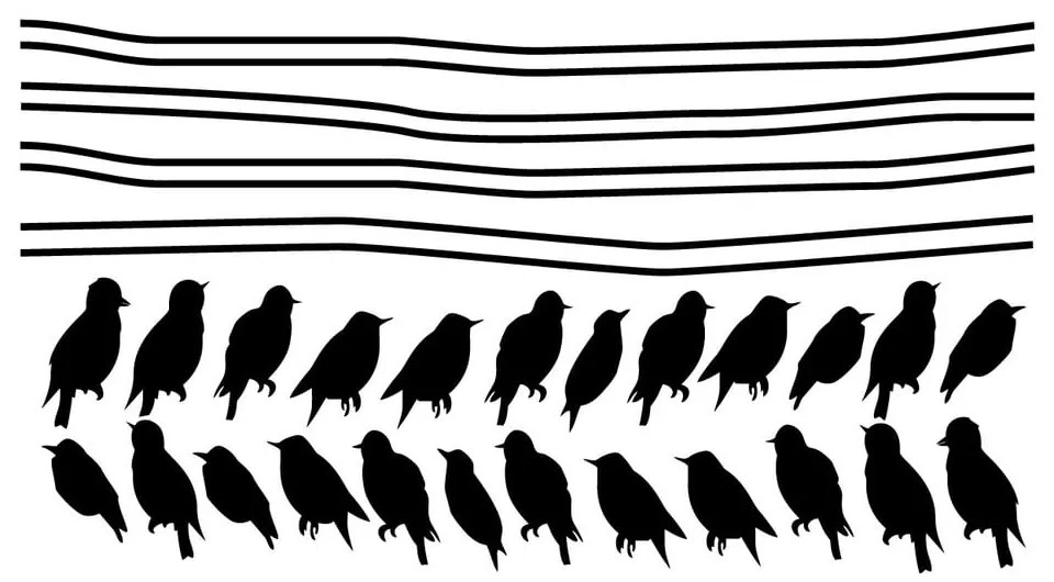 Set di adesivi Starlings On Cable - Ambiance