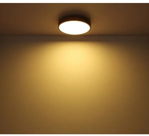 Globo 416080WD1R - Plafoniera LED DORO LED/12W/230V d. 30 cm