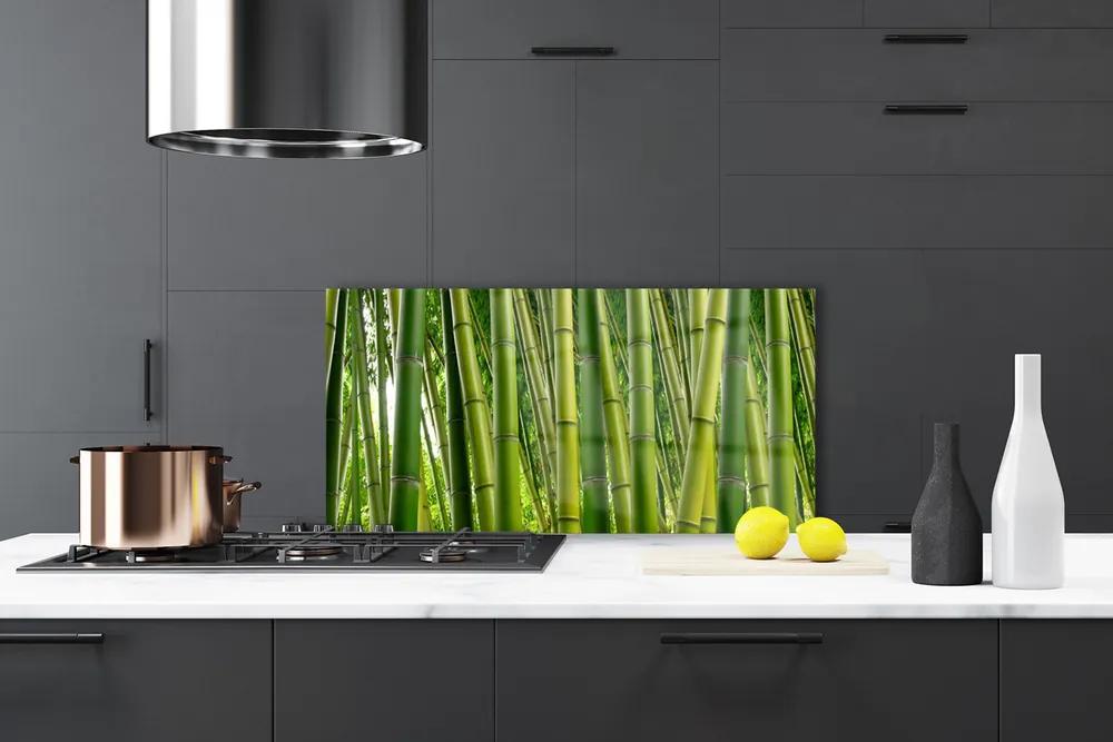 Pannello paraschizzi cucina Foresta di bambù Germogli di bambù 100x50 cm