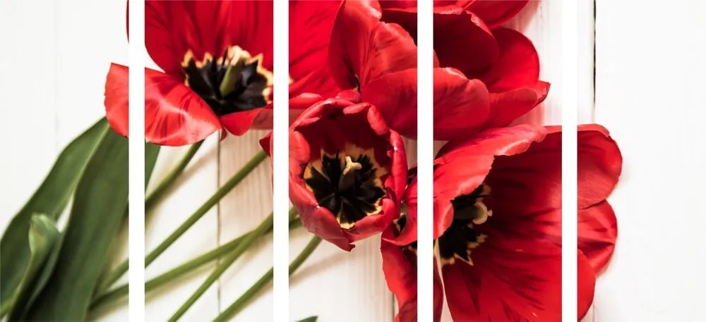 Quadri 5 pezzi – Tulipani rossi in fiore