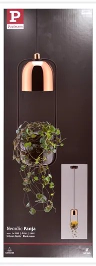 Paulmann 79749 - 1xGU10/20W Lampadario su filo FANJA 230V