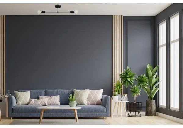 Lampadario a plafone CAMBRIDGE 2xE27/15W/230V nero