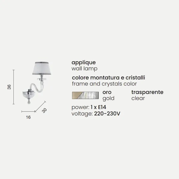 Applique 16 cm BACH senza paralume in vetro trasparente 1 Luce Oro