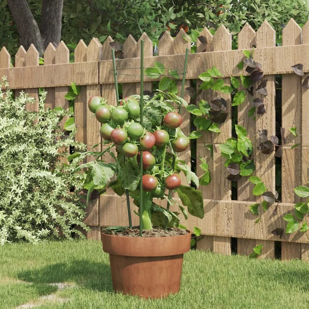 Supporti Piante Da Giardino Con 3 Anelli 5pz Verde 45cm Acciaio /