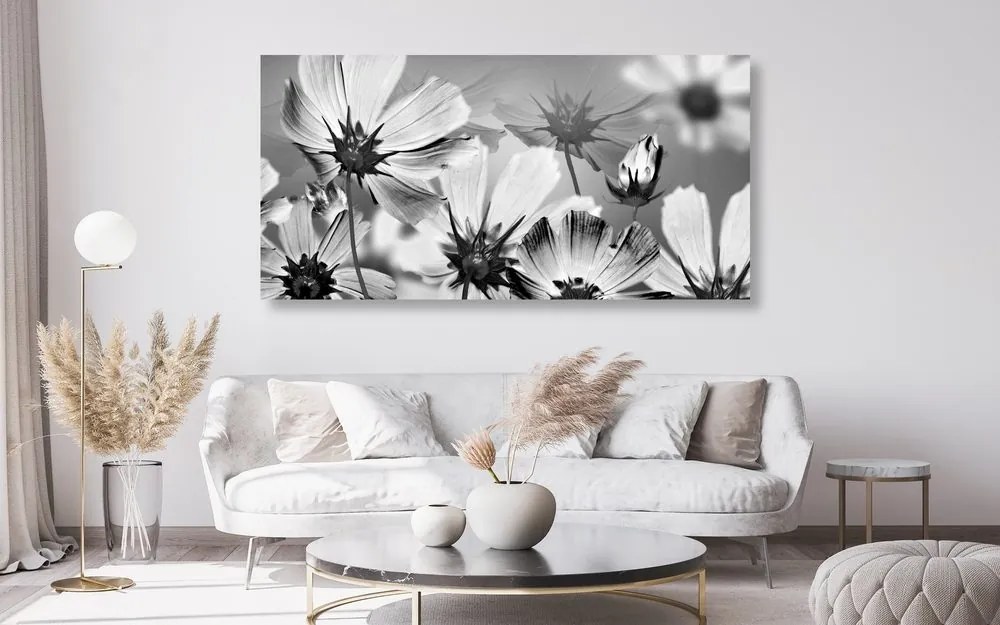 Quadro su tela – Fiori da giardino in bianco e nero