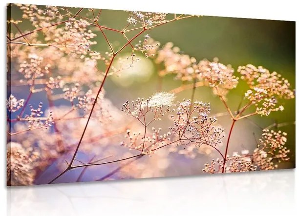 Stampa su tela – Natura morta di fiori