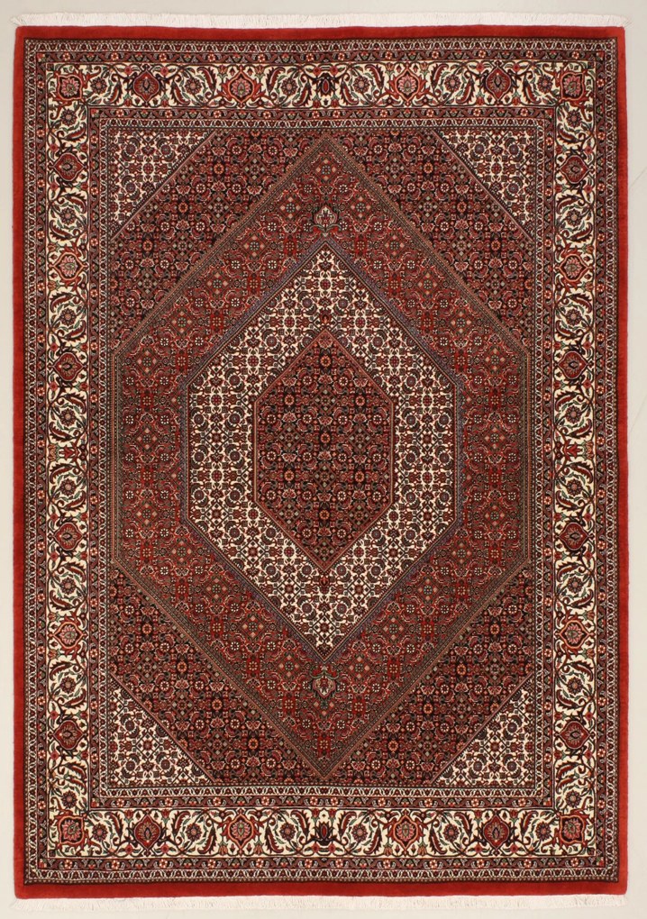 Bidjar Tappeto 250x170 (Iran) Annodato A Mano