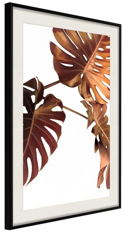 Poster  Copper Monstera  Cornice Quadri Cornice nera con pass-partout, Larghezza x Altezza Home decor 30x45