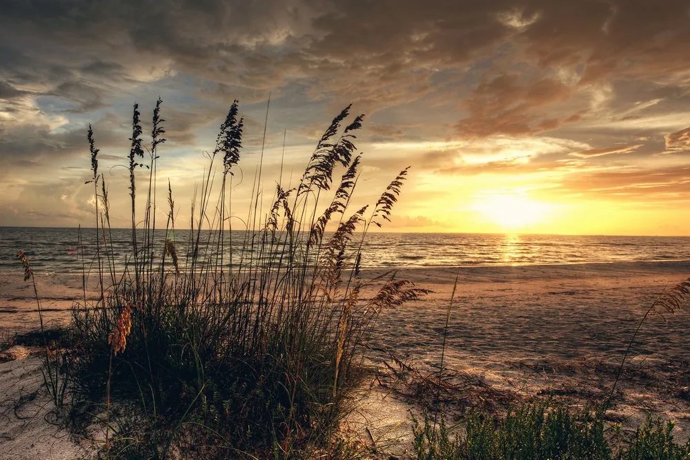 Quadro su tela – Tramonto sulla spiaggia