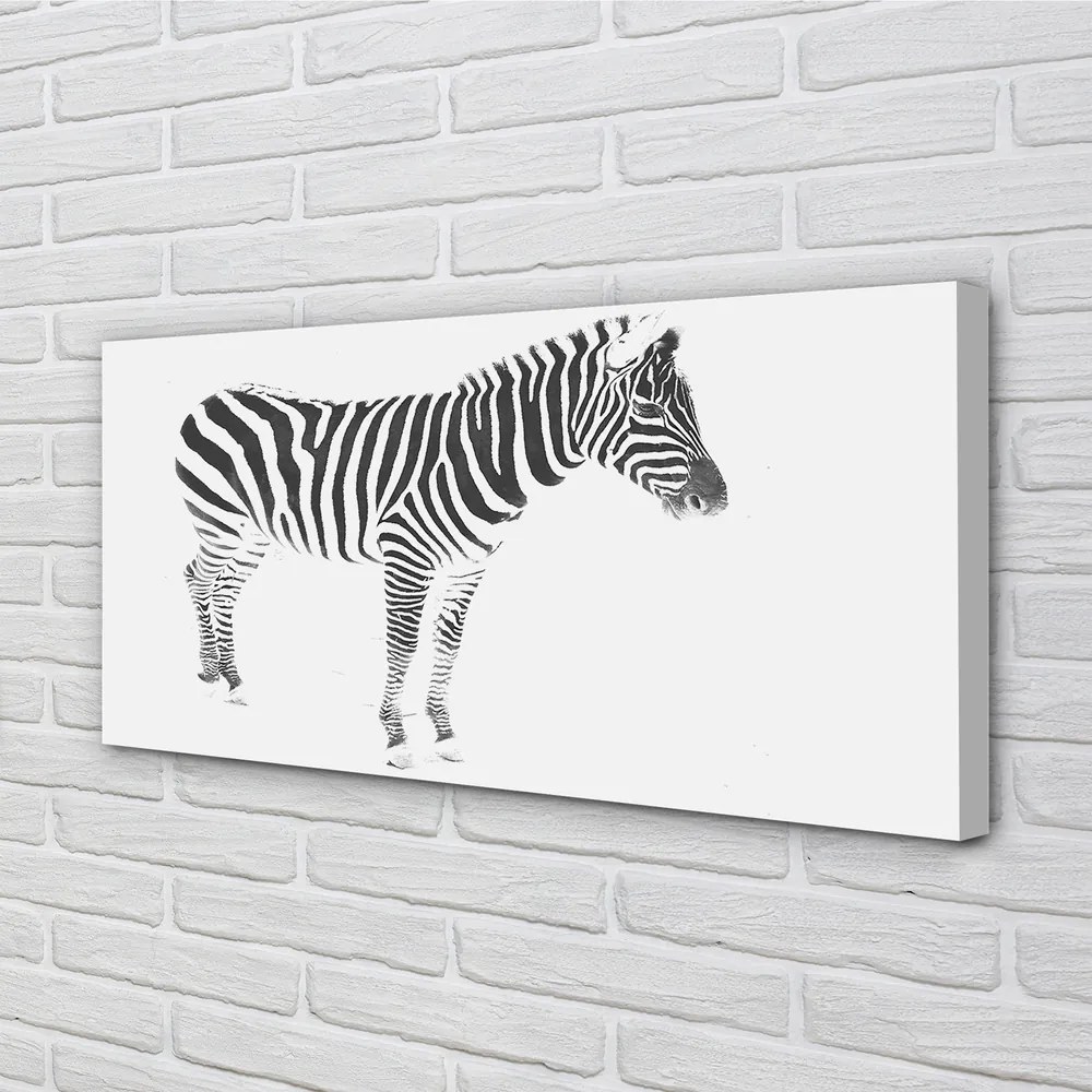 Quadro su tela Zebra dipinta 100x50 cm