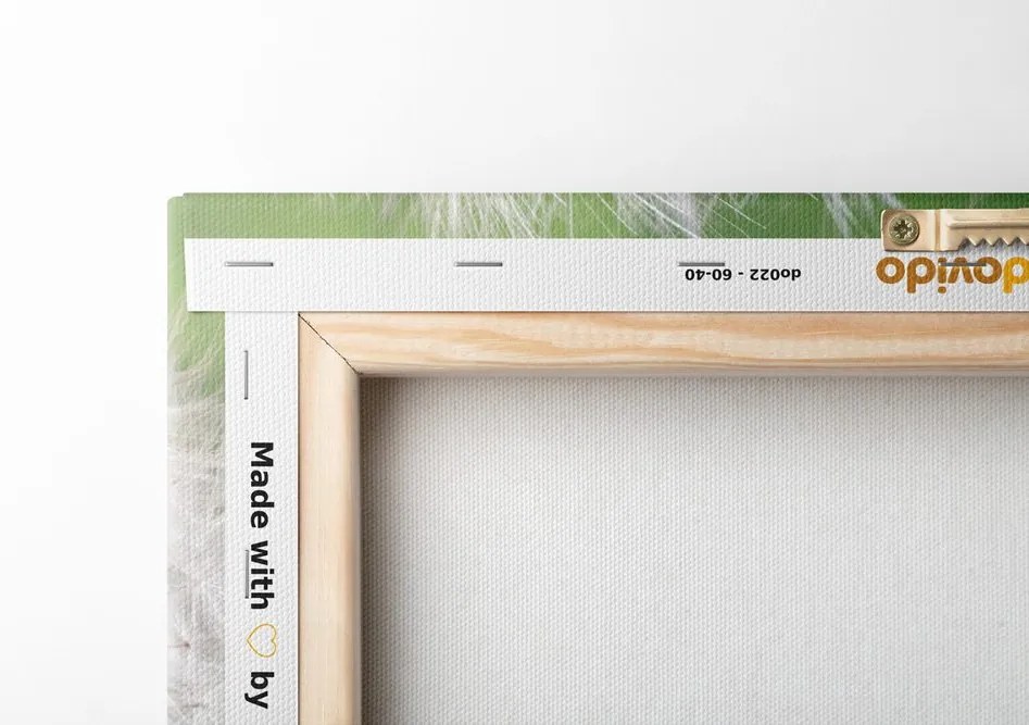 Quadro su tela – Semi di soffione