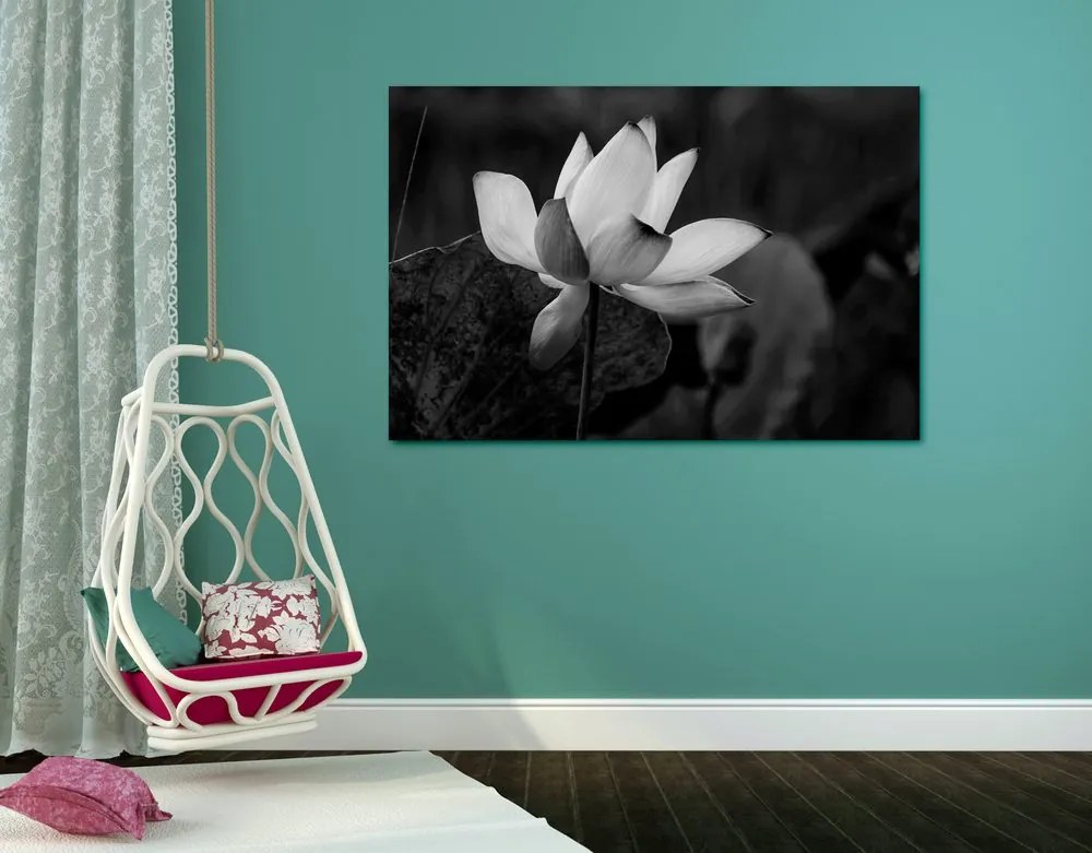 Stampa su tela – Fiore di loto delicato in bianco e nero