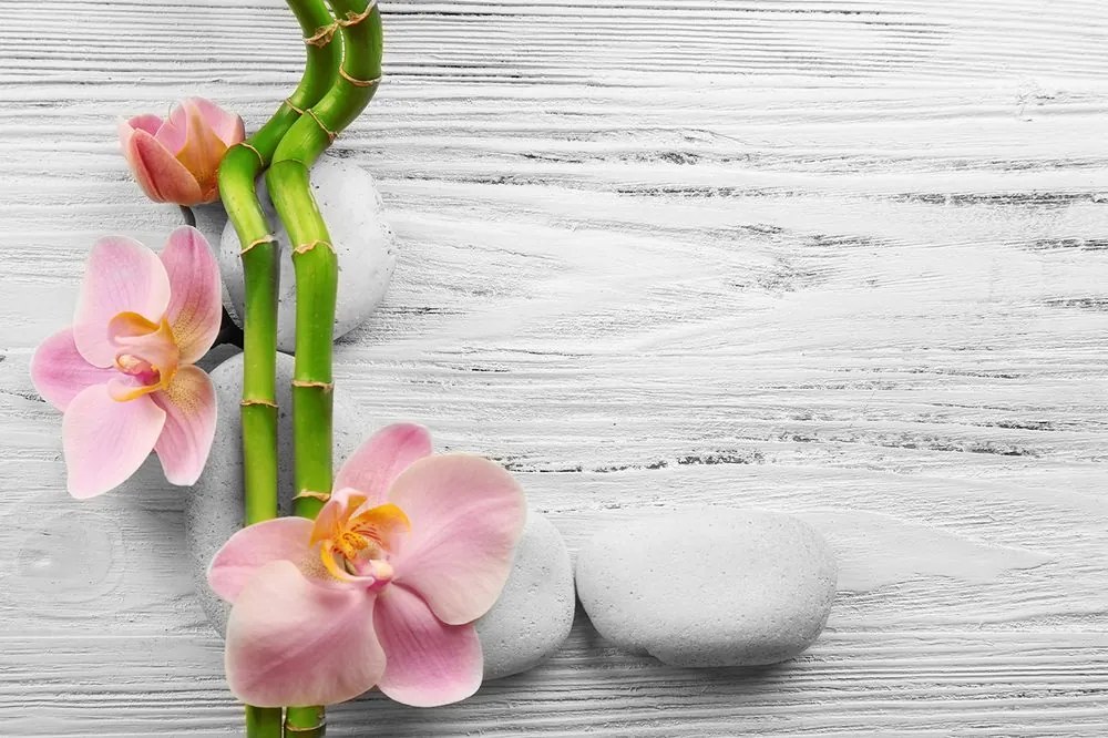 Carta da parati – Composizione Zen delicata