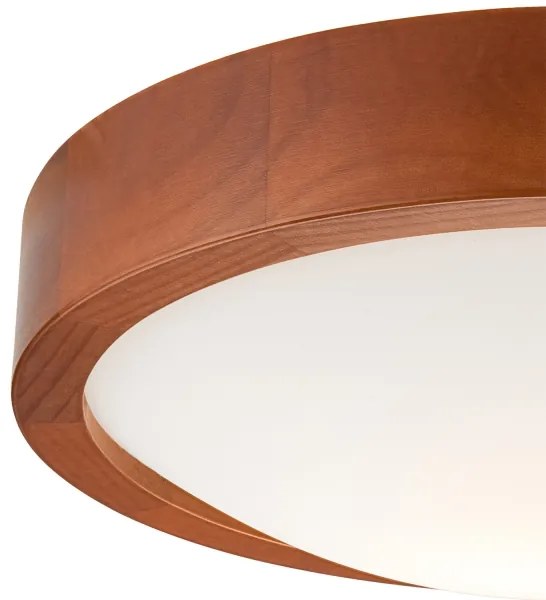 Lampada da soffitto 1xE27/60W/230V