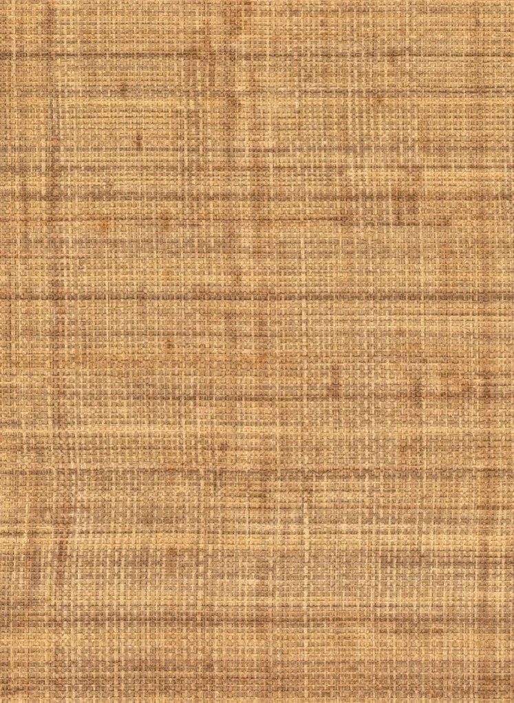 Élitis Carta da parati Abaca - VP 983 15