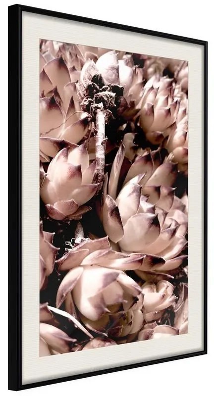 Poster  Autumnal Flowers  Cornice Quadri Cornice nera con pass-partout, Larghezza x Altezza Home decor 40x60