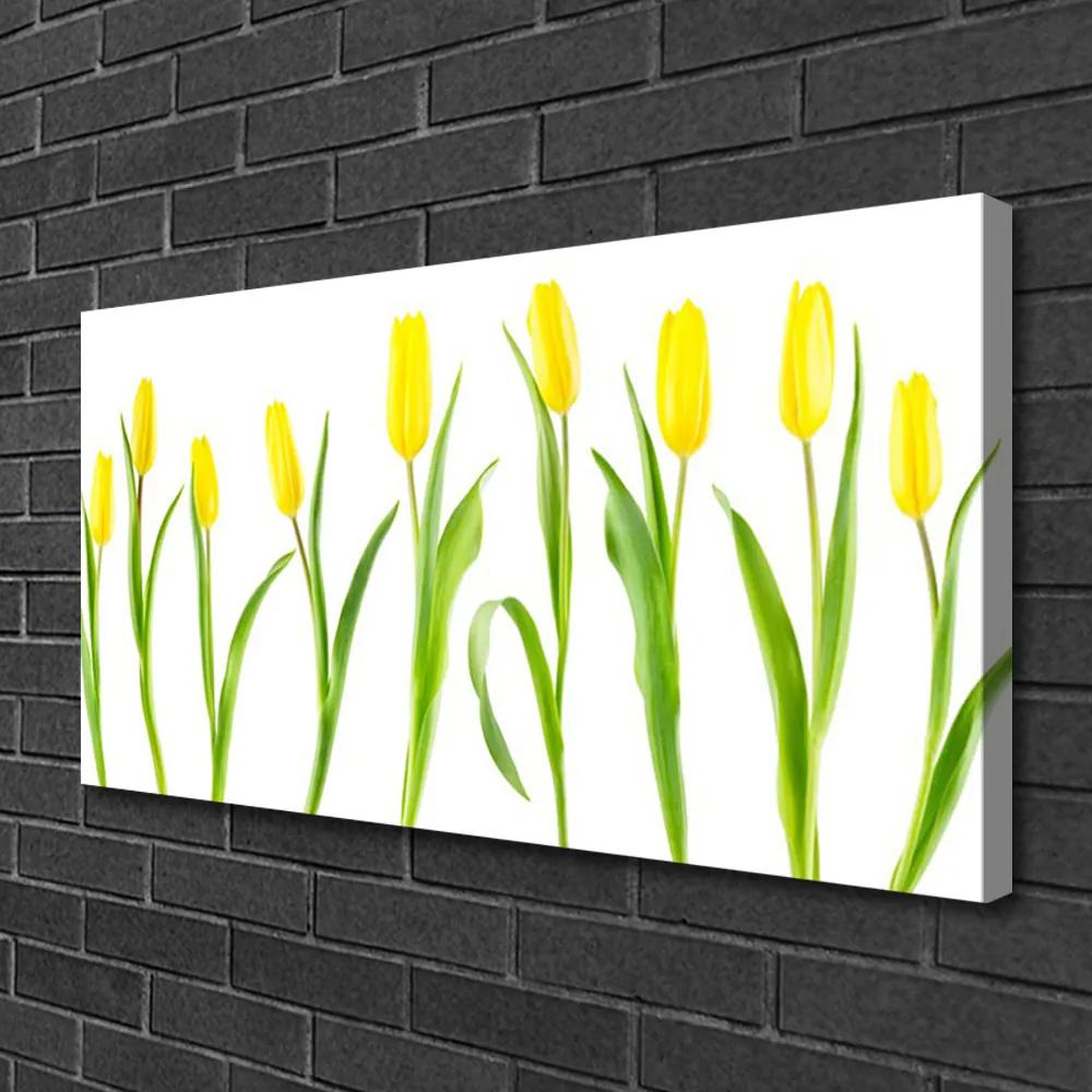 Quadro su tela Fiori gialli dei tulipani 100x50 cm