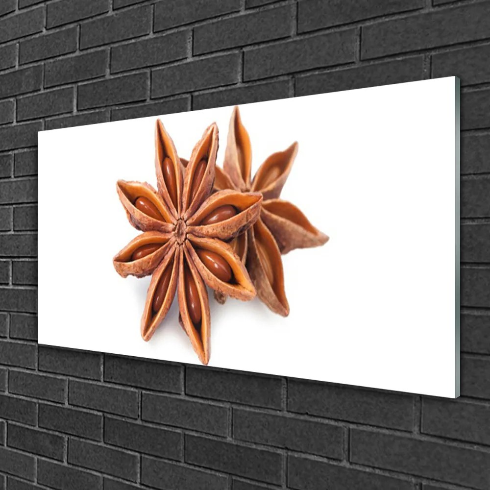 Quadro su vetro Spezia all'anice stellato 100x50 cm 2 appendini