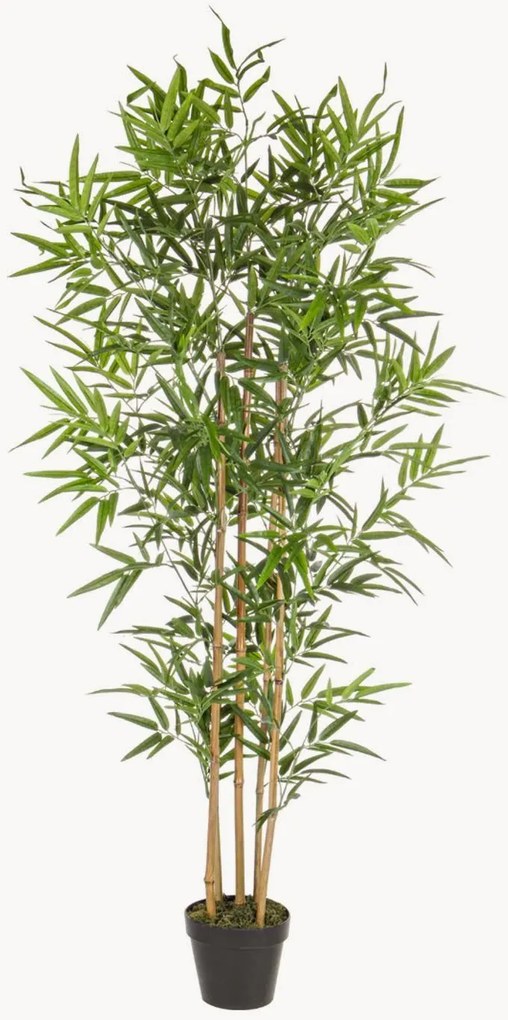 Set di 2 piante artificiali Bamboo
