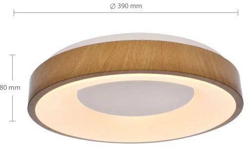 Brilagi - Lampada LED da soffitto dimmerabile DORIA LED/48W/230V 3000-6500K + DO