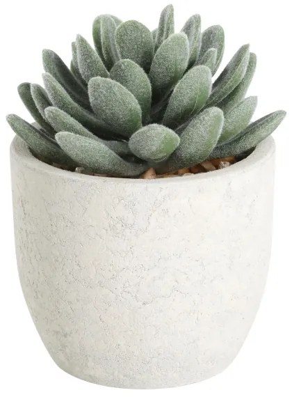 Eglo 428011 - Pianta artificiale in vaso CHITOSE 11x8 cm succulenta