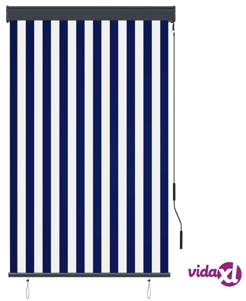 vidaXL Tenda a Rullo per Esterni 100x250 cm Blu e Bianca