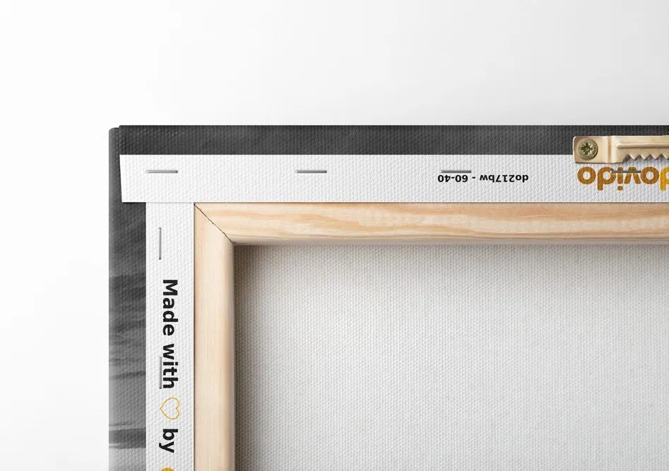 Quadro su tela – Alba sopra il prato con tulipani in bianco e nero