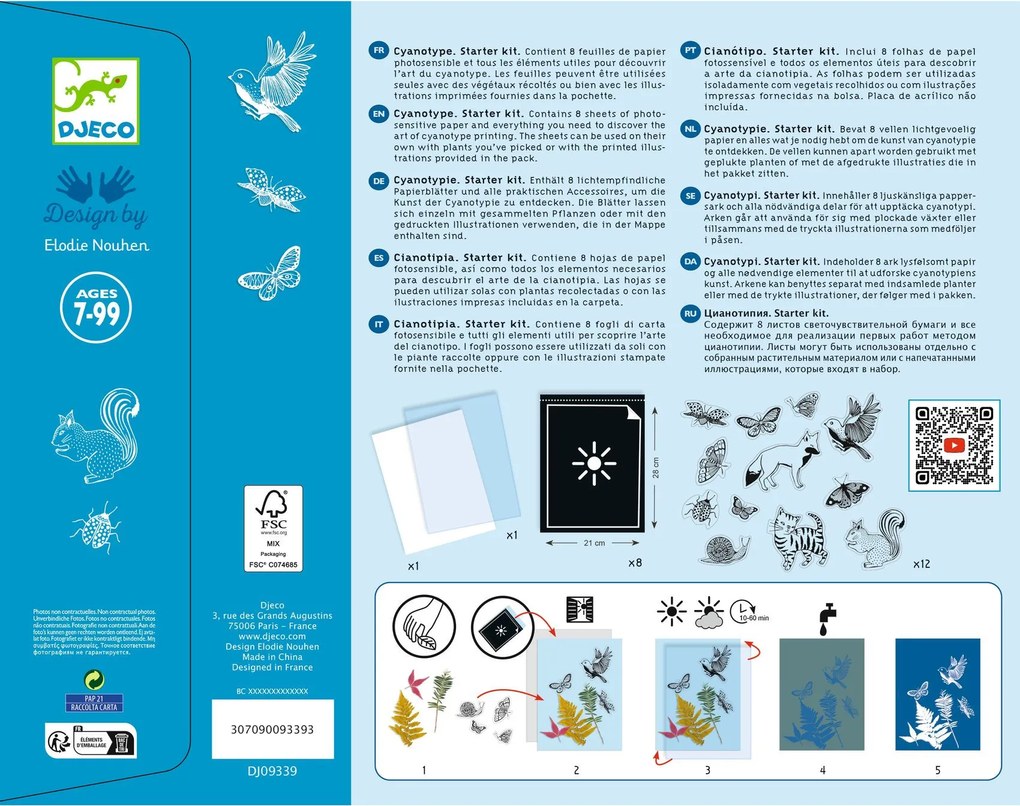 Set creativo iniziale - cianotipia